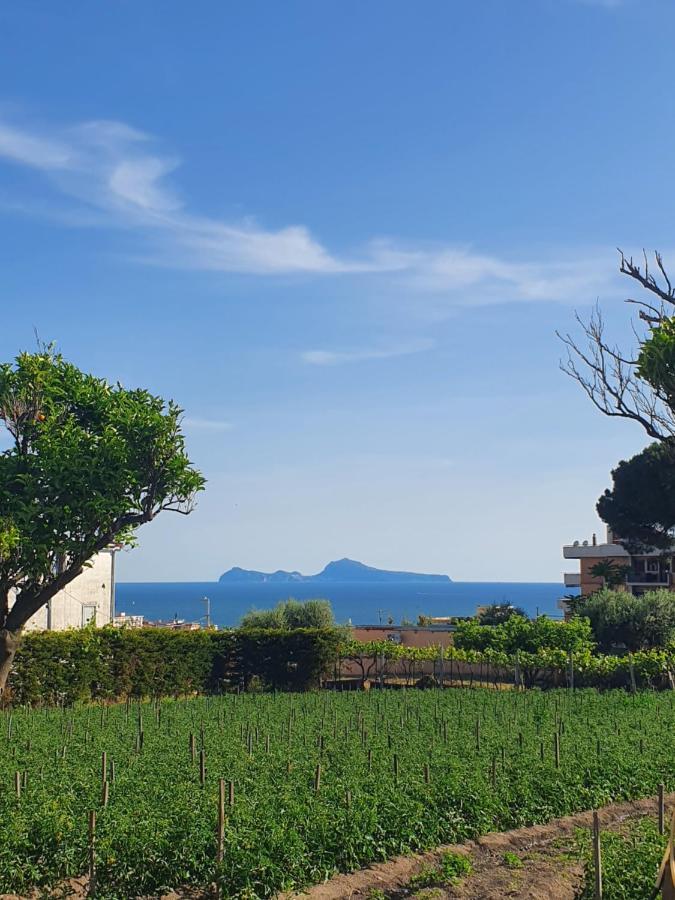 Stone Garden B&B Ercolano Extérieur photo