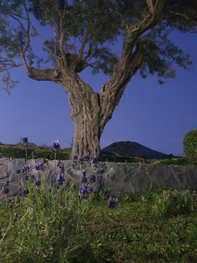 Stone Garden B&B Ercolano Extérieur photo