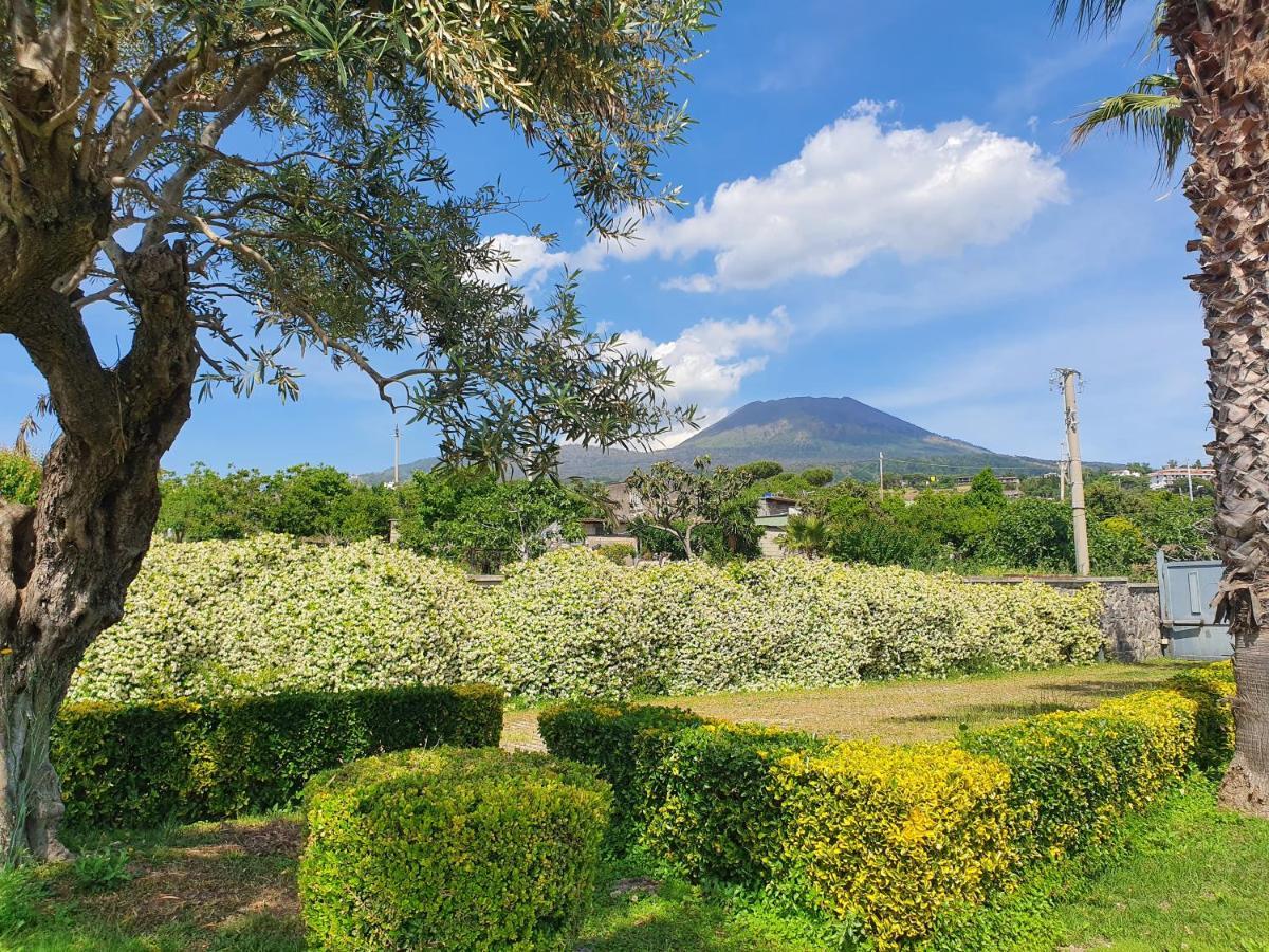 Stone Garden B&B Ercolano Extérieur photo