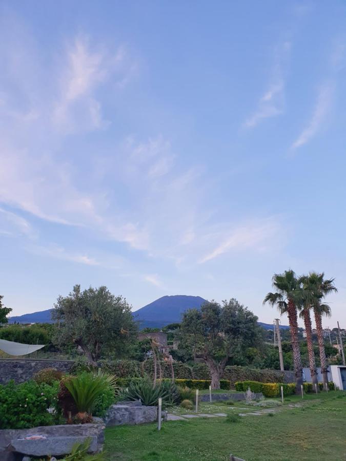 Stone Garden B&B Ercolano Extérieur photo