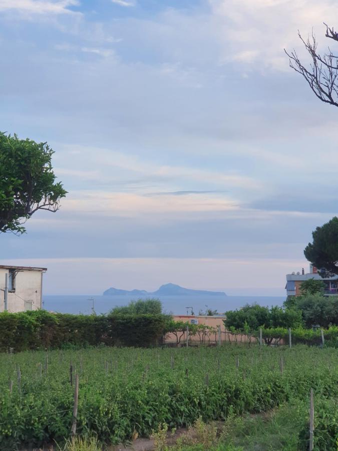 Stone Garden B&B Ercolano Extérieur photo