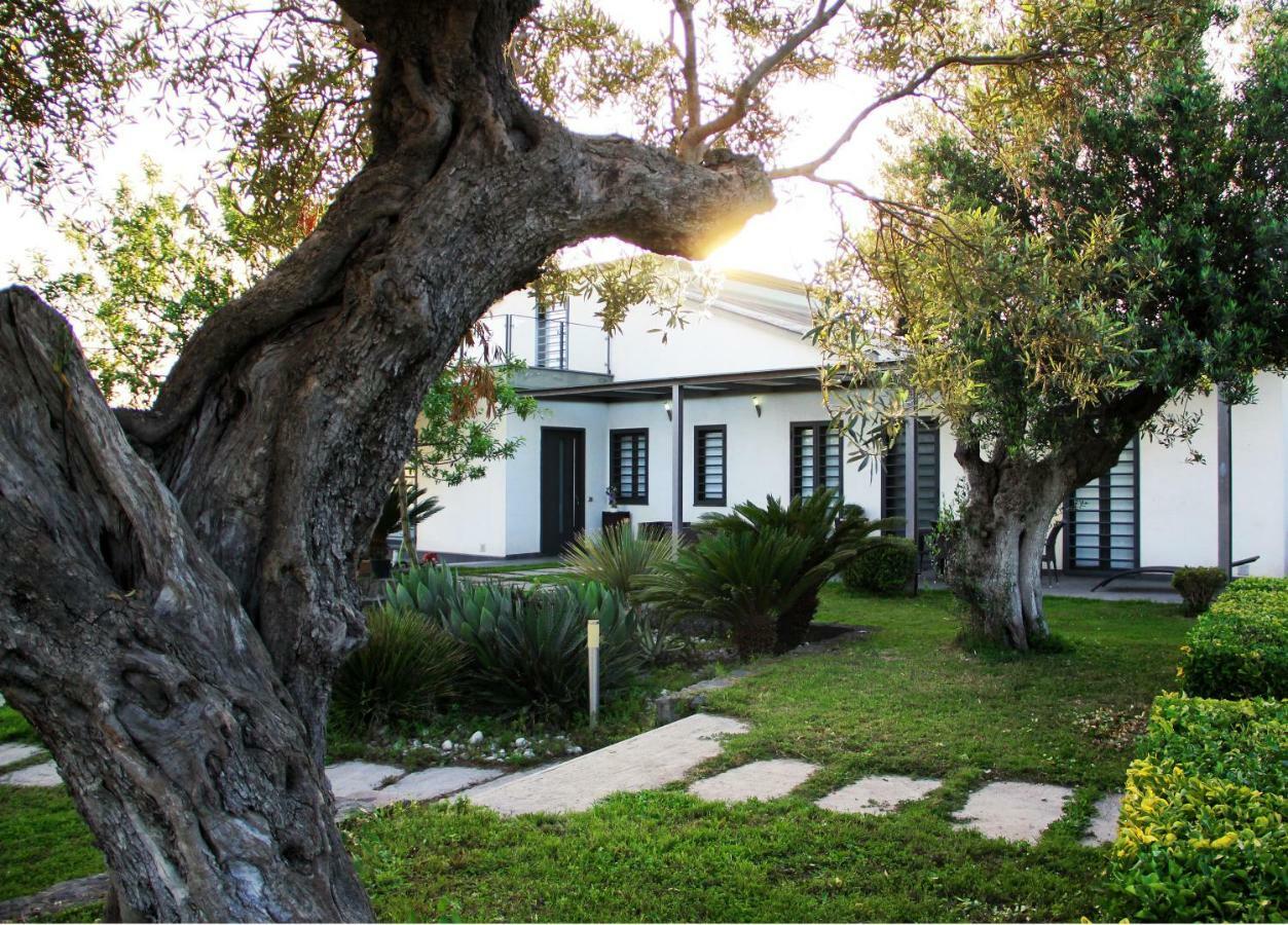 Stone Garden B&B Ercolano Extérieur photo